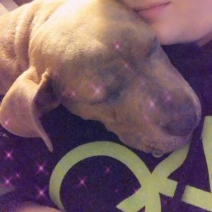 Meet your Posher, Joshua